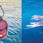 How Restaurant POS Systems Improve Order Accuracy And Speed