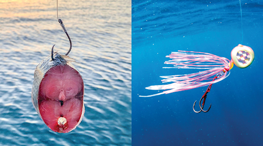 Fishing Spinner Lures vs. Combo Fly Rods: Which is Best for Your Next Trip?