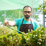 Why Hiring a Professional Landscape Designer Is Worth Every Penny