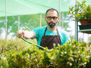 How Local Landscapers Can Create Your Dream Yard in Bonita Springs