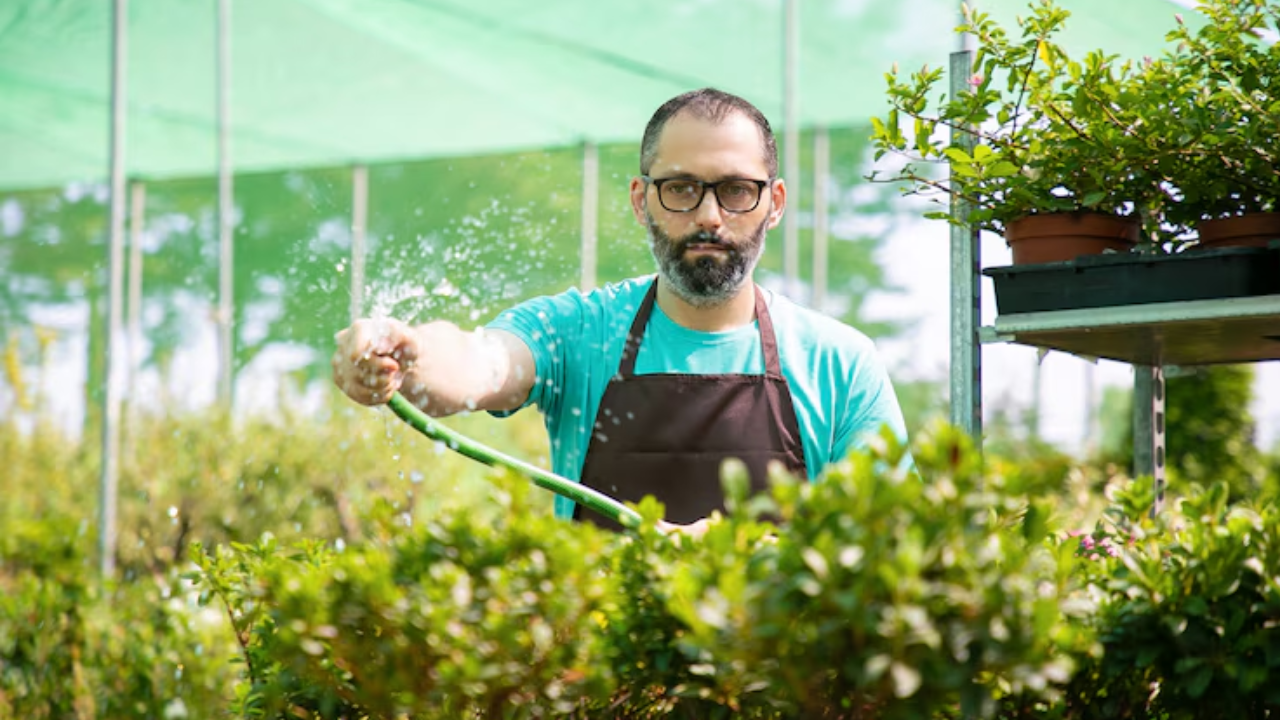 How Local Landscapers Can Create Your Dream Yard in Bonita Springs