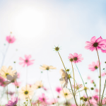 How Gold Loan GST Rate Impacts Your Loan Repayment Amount?