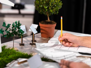 Why Hiring a Professional Landscape Designer Is Worth Every Penny