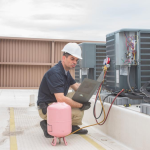 4 Important Things to Know About Federal Appeal in Florida