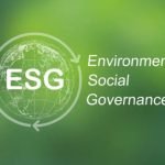 Shrink Machines for E-Commerce: Improving Packaging Speed and Protection