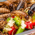 Expert Tips on HVAC Repair in NYC for Water Source Heat Pump Issues