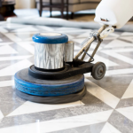 How to Store Premium Raw Sea Moss