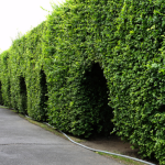 How does Assetz Micropolis combine luxury and eco-friendly living?