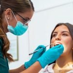 Can an Online Plant Nursery Provide Mature Privacy Hedge Trees?