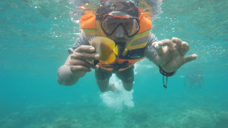 A Complete Guide To The Divemaster Course In Koh Tao