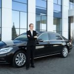 Can an Online Plant Nursery Provide Mature Privacy Hedge Trees?