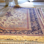 The Impact of Fame: Thought-Provoking Quotes from BoJack Horseman