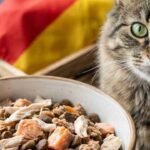 Step-by-Step Guide to Drawing Support and Resistance on TradingView