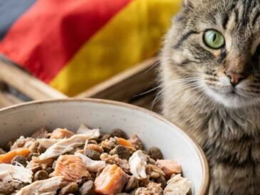German Cat Food: Why European Standards Lead to Superior Feline Nutrition