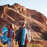 What Makes Wooden Boat House Structures Worth Building?