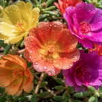 Guide to Selecting Authentic Handmade Singing Bowls in Bulk