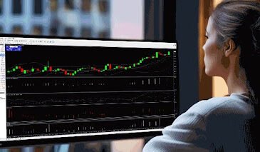 What You Should Focus on First When Learning Forex Trading