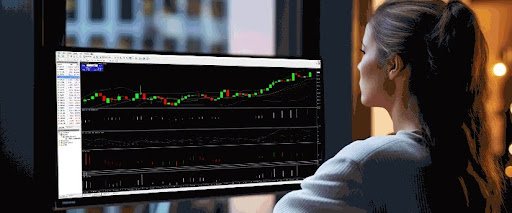 What You Should Focus on First When Learning Forex Trading