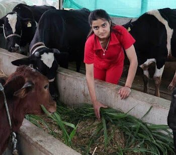 How to Get a Dairy Farm Loan and Government Schemes That Support Cattle Rearing