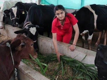 How to Get a Dairy Farm Loan and Government Schemes That Support Cattle Rearing
