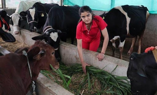 How to Get a Dairy Farm Loan and Government Schemes That Support Cattle Rearing