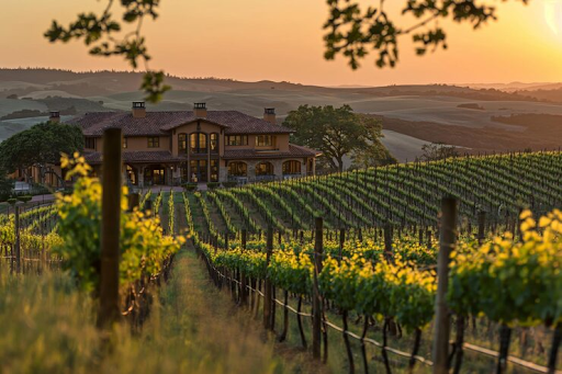 The Honest Guide to Finding Your Kind of Winery in Napa